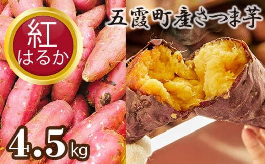 五霞町産さつま芋（紅はるか）4.5kg ／ サツマイモ さつまいも 野菜 茨城県 特産品【2024年12月より順次発送】