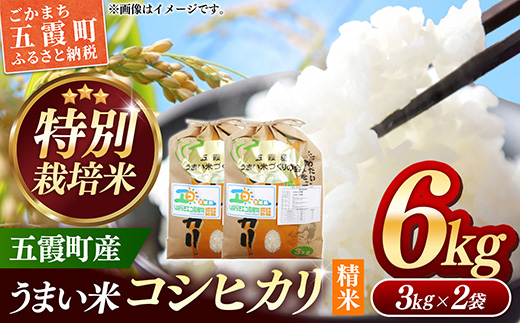 【特別栽培米】五霞町産うまい米コシヒカリ（精米）6kg ／ 令和7年産 お米 白米 こしひかり 減農薬 減化学肥料 茨城県 認証 取得 健康 環境【価格改定XA】