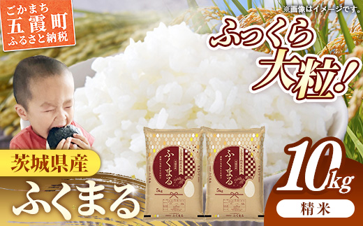 令和7年産 茨城県産 ふくまる 10kg ／ お米 精米 新米 旨味 安心 美味しい 茨城県 五霞町