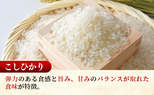 【新米発送】☆令和6年産☆『こしひかり』精米10kg(5kg×2袋) 出荷日に合わせて精米【2024年9月上旬より発送開始】コシヒカリ 人気 銘柄 茨城県産 お好み 選択 家計応援 家庭用 茨城県 五霞町【価格改定X】