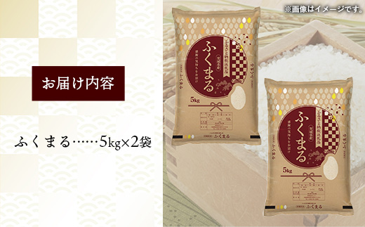 令和7年産 茨城県産 ふくまる 10kg ／ お米 精米 新米 旨味 安心 美味しい 茨城県 五霞町