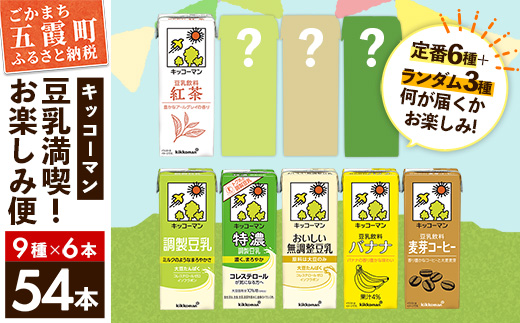 【合計200ml×54本】キッコーマン 豆乳満喫！ お楽しみ便 ／ 9種 各6本 計54本 詰め合わせ アソート 飲み比べ 豆乳飲料 豆乳 健康 おまかせ おやつ 大豆 パック 定番 飲み切り おすすめ 茨城県 五霞町