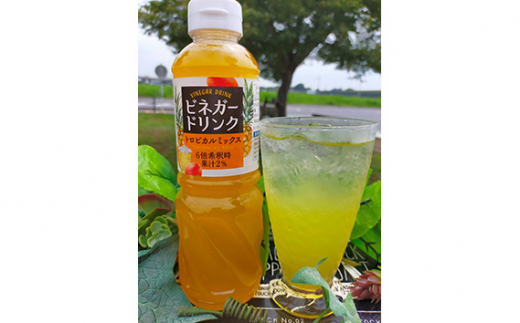 【キユーピー醸造】りんご酢・ビネガードリンクセット6 ／ 果実酢 健康 りんご酢 ビネガー ドリンク セット カシス トロピカル パイン マンゴー フルーティ すっきり 酢 キユーピー醸造 茨城県 五霞町