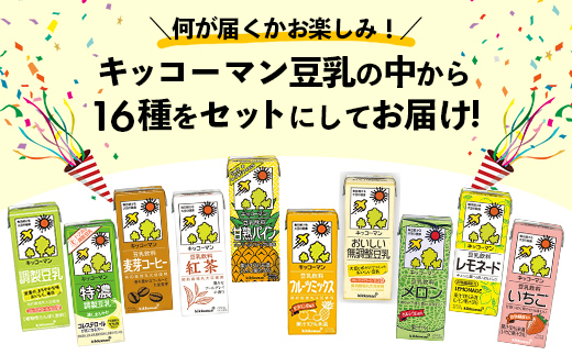 【合計200ml×16本】キッコーマン バラエティーセット 200ml ／ 飲料 豆乳 健康 おまかせ おやつ 豆乳飲料 大豆 パック セット 定番 飲み切り おすすめ 茨城県 五霞町