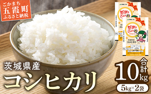 令和6年茨城県産コシヒカリ10kg（5kg×2） ／ お米 精米 こしひかり 旨味 安心 美味しい JA茨城むつみ 茨城県 五霞町