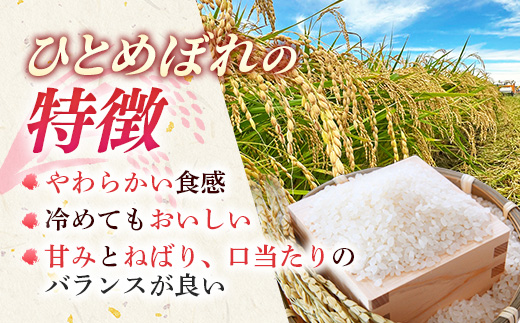 譁ー邀ウ 蜈郁。悟女莉 莉、蜥8蟷エ逕」 縲弱%縺励イ縺九j縲上弱イ縺ィ繧√⊂繧後 10kg (蜷5kgテ1陲九★縺、) 邀ウ 縺顔アウ 逋ス邀ウ 繧ウ繝。 縺薙a 鬟溘∋豈斐∋繧サ繝繝 繧ウ繧キ繝偵き繝ェ 縺イ縺ィ繧√⊂繧 蜈郁。御コ育エ 2026蟷エ 莠コ豌 蜊倅ク邀ウ 闌ィ蝓守恁 莠秘悚逕コ 縲蝉セ。譬シ謾ケ螳壹