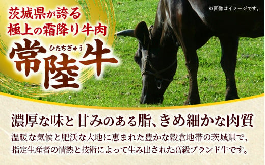 【お肉好きが注目する超人気店】「ミート矢澤」の常陸牛100％フレッシュハンバーグ 160g×4個（ソース付き）【数量限定50セット】【2024年12月上旬より順次発送】ハンバーグ 惣菜 黒毛和牛 牛100% 専門店 肉汁 牛肉 肉 和牛 ひたちぎゅう 常陸牛 ブランド和牛 国産 手ごね 手作り お弁当 おかず 簡単調理 高級 こだわり 贈り物 ギフト お取り寄せ 人気