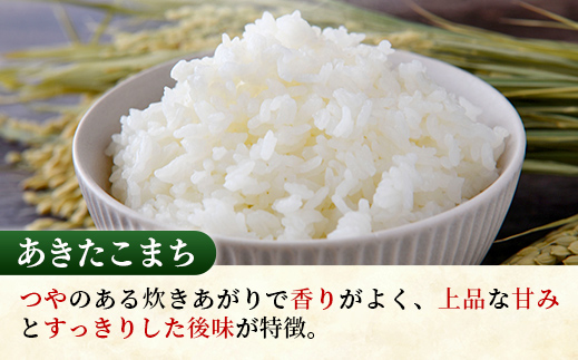 【新米発送】☆令和6年産☆『あきたこまち』精米10kg(5kg×2袋) 出荷日に合わせて精米【2024年9月上旬より発送開始】あきたこまち 人気 銘柄 茨城県産 数量限定 家計応援 家庭用 茨城県 五霞町【価格改定X】