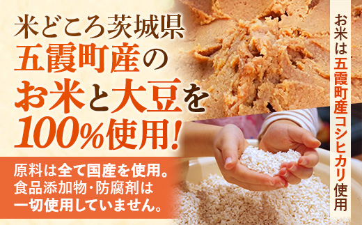 莠秘悚邀ウ縺ソ縺 1kg テ 2蛟九そ繝繝 シ 蜻ウ蝎 辟。豺サ蜉 謇九▼縺上j 縺ソ縺 2蛟 繧サ繝繝 隧ー繧∝粋繧上○ 險2kg 莠秘悚邀ウ 螟ァ雎 蝗ス逕」蜴滓侭 闌ィ蝓守恁 莠秘悚逕コ