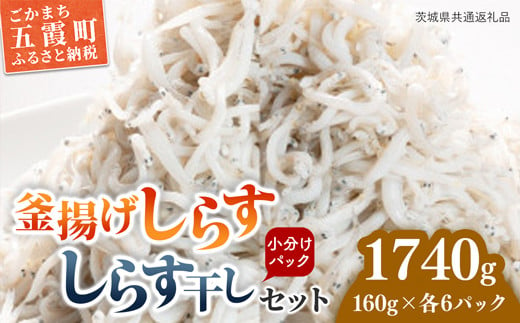 釜揚げしらす・しらす干し各６パック（12個セット）（茨城県共通返礼品・大洗町産） ／ しらす 釜揚げしらす しらす干し 小分け 便利 とろける 食感 新鮮 冷凍 セット