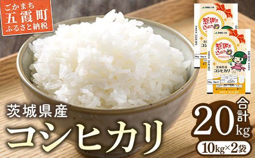 令和6年茨城県産コシヒカリ20kg（10kg×2） ／ お米 精米 こしひかり 旨味 安心 美味しい JA茨城むつみ 茨城県 五霞町