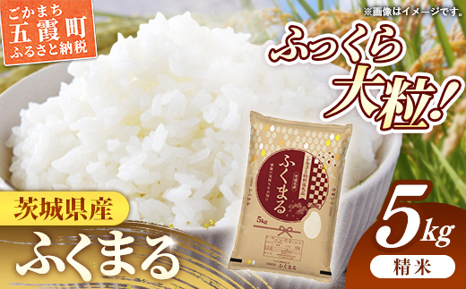 令和7年産 茨城県産 ふくまる 5kg ／ お米 精米 特A米 特A 特A評価 旨味 安心 美味しい 茨城県 五霞町【価格改定X】