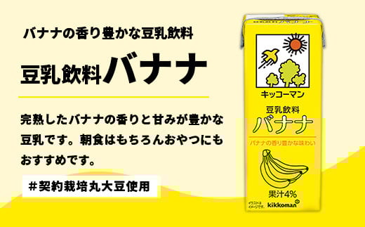 【定期便12回】【合計200ml×54本】豆乳飲料 バナナ 200ml ／ 飲料 キッコーマン 健康 バナナ 豆乳 おやつ 豆乳飲料 大豆 パック セット 飲み切り 小腹満たし 豆乳プリン 定期便 茨城県 五霞町【価格改定】