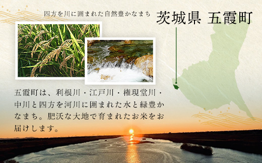 【特別栽培米】五霞町産うまい米コシヒカリ（精米）6kg ／ 令和7年産 お米 白米 こしひかり 減農薬 減化学肥料 茨城県 認証 取得 健康 環境【価格改定XA】