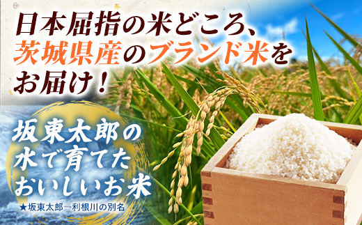 譁ー邀ウ 蜈郁。悟女莉 莉、蜥8蟷エ逕」 縲弱%縺励イ縺九j縲上弱イ縺ィ繧√⊂繧後 10kg (蜷5kgテ1陲九★縺、) 邀ウ 縺顔アウ 逋ス邀ウ 繧ウ繝。 縺薙a 鬟溘∋豈斐∋繧サ繝繝 繧ウ繧キ繝偵き繝ェ 縺イ縺ィ繧√⊂繧 蜈郁。御コ育エ 2026蟷エ 莠コ豌 蜊倅ク邀ウ 闌ィ蝓守恁 莠秘悚逕コ 縲蝉セ。譬シ謾ケ螳壹