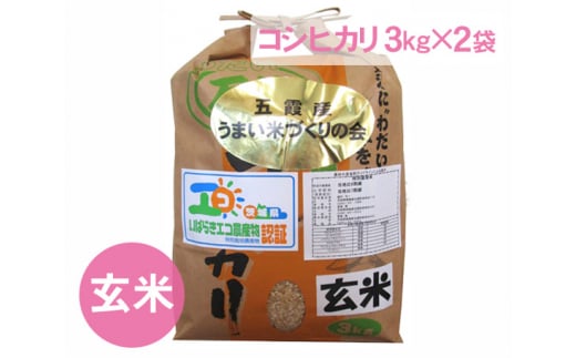 五霞町産うまい米コシヒカリ（玄米）6kg ／ お米 こしひかり 健康 茨城県