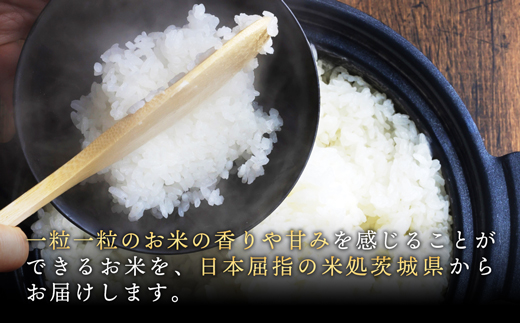 【新米発送】令和６年産『五霞の輝き』精米16kg(5kg×2袋、6kg×1袋)出荷日に合わせて精米 - ブレンド米 米 コシヒカリ あきたこまち ミルキークイーン ひとめぼれ ゆめひたち あさひの夢 チヨニシキ ふくまる 家庭用 家計応援 訳あり 茨城県 五霞町【価格改定ZG1】