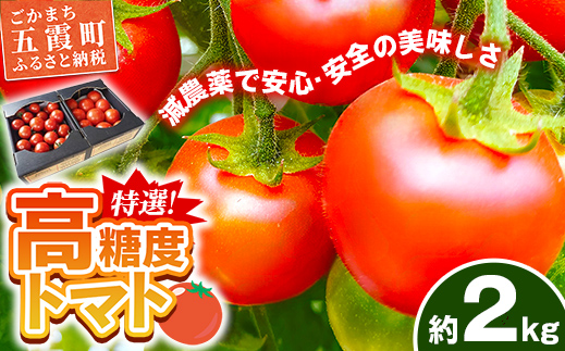 山中トマト農園がお届けする！五霞町の特選 高糖度トマト 2箱（約2kg）／ 完熟 甘い 減農薬 こだわり 贈り物 エクセレントトマト 中玉トマト 野菜 とまと 茨城県 五霞町