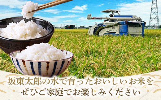 譁ー邀ウ 蜈郁。悟女莉 莉、蜥8蟷エ逕」 縲弱%縺励イ縺九j縲上弱イ縺ィ繧√⊂繧後 10kg (蜷5kgテ1陲九★縺、) 邀ウ 縺顔アウ 逋ス邀ウ 繧ウ繝。 縺薙a 鬟溘∋豈斐∋繧サ繝繝 繧ウ繧キ繝偵き繝ェ 縺イ縺ィ繧√⊂繧 蜈郁。御コ育エ 2026蟷エ 莠コ豌 蜊倅ク邀ウ 闌ィ蝓守恁 莠秘悚逕コ 縲蝉セ。譬シ謾ケ螳壹