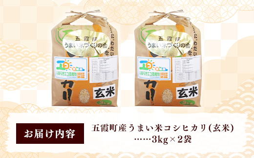 【特別栽培米】五霞町産うまい米コシヒカリ（玄米）6kg ／ 令和7年産 お米 こしひかり 減農薬 減化学肥料 茨城県 認証 取得 健康 環境【価格改定】