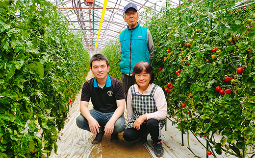 山中トマト農園がお届けする！五霞町の特選 高糖度トマト 2箱（約2kg）／ 完熟 甘い 減農薬 こだわり 贈り物 エクセレントトマト 中玉トマト 野菜 とまと 茨城県 五霞町