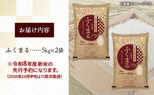 縲先眠邀ウ蜈郁。御コ育エ縲 莉、蜥8蟷エ逕」 闌ィ蝓守恁逕」 縺オ縺上∪繧 10kgシ5kgテ2陲具シ シ 譁ー邀ウ 蜈郁。悟女莉 蜈郁。御コ育エ 2026蟷エ 邀ウ 縺顔アウ 邊セ邀ウ 迚ケA邀ウ 迚ケA 迚ケA隧穂セ。 譌ィ蜻ウ 螳牙ソ 鄒主袖縺励> 闌ィ蝓守恁 莠秘悚逕コ