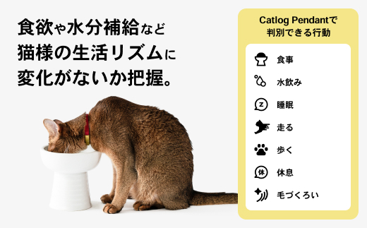【2猫様用】Catlog基本セット + 追加Pendant