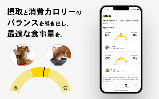 【3猫様用】Catlog基本セット + 追加Pendant 2本