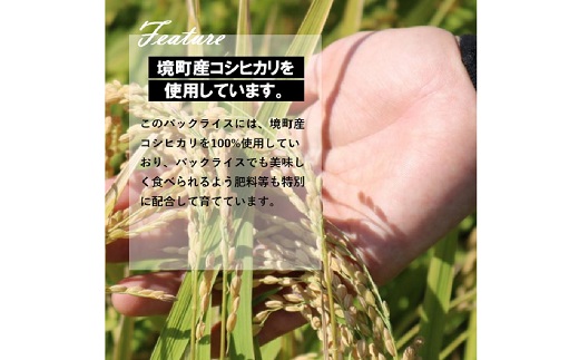 境町産こしひかり使用 国産十八雑穀ごはん ヘルシー パックライス 160g×18個×2ケース