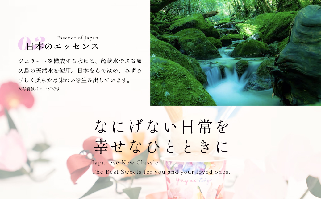 YAYOI TOKYO ç£ä¿®ãžã§ã©ãŒã 3皮以äžããŸãã6å è©°ãåãã ããã¯ã¹ã»ãã ãžã§ã©ãŒã ã€ãšã€æ±äº¬ äžç ã¹ã€ãŒã ãã¶ãŒã èŽç ãã¬ãŒã³ã ã¢ã€ã¹ å¹²ãè K2564