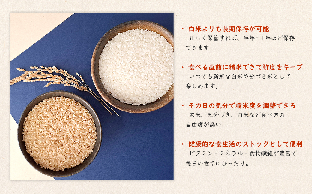 【令和7年産】米 玄米 コシヒカリ 5kg(5kg×1袋) 国産 ご飯 茨城県 境町産 人気 S278