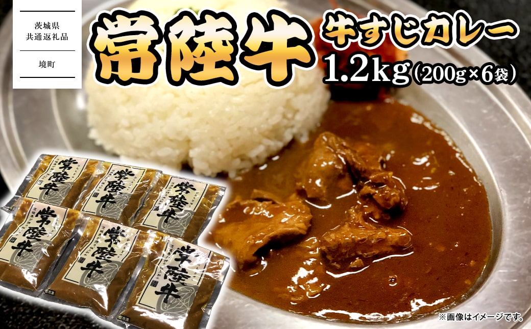 K2541 常陸牛すじカレー 1.2kg(200g×6袋) ＜茨城県共通返礼品＞【常陸牛 牛 牛すじ カレー スパイス レトルト 本格 贅沢 牛肉 カレーライス】