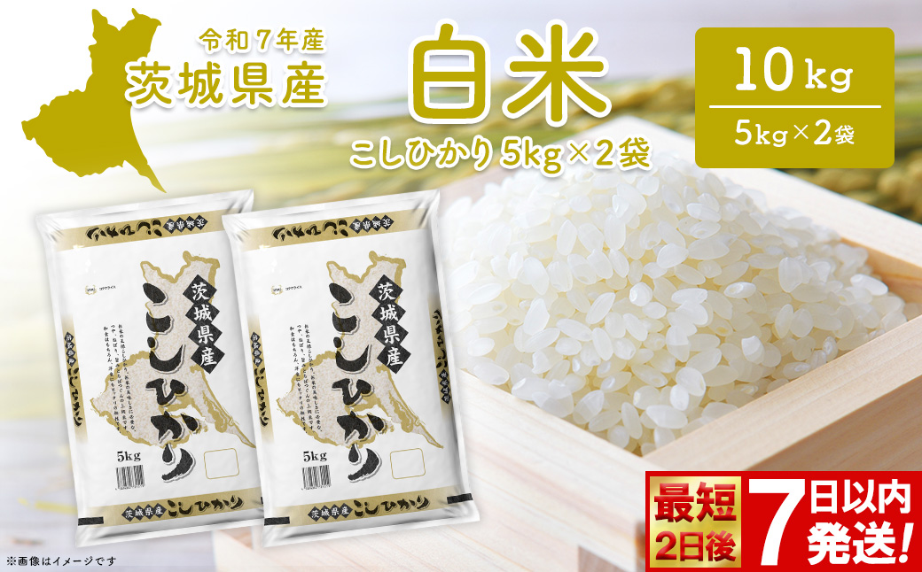 笳取怙遏ュ2譌・蠕檎匱騾≫落 繧ウ繧キ繝偵き繝ェ 10kg (5kgテ2陲) 闌ィ蝓守恁逕」 邀ウ 蟆丞縺 2025蟷エ逕」 繧ケ繝斐シ繝我セソ 繧ウ繧キ繝偵き繝ェ 縲蝉サ、蜥7蟷エ逕」/逋ス邀ウ縲 K2654