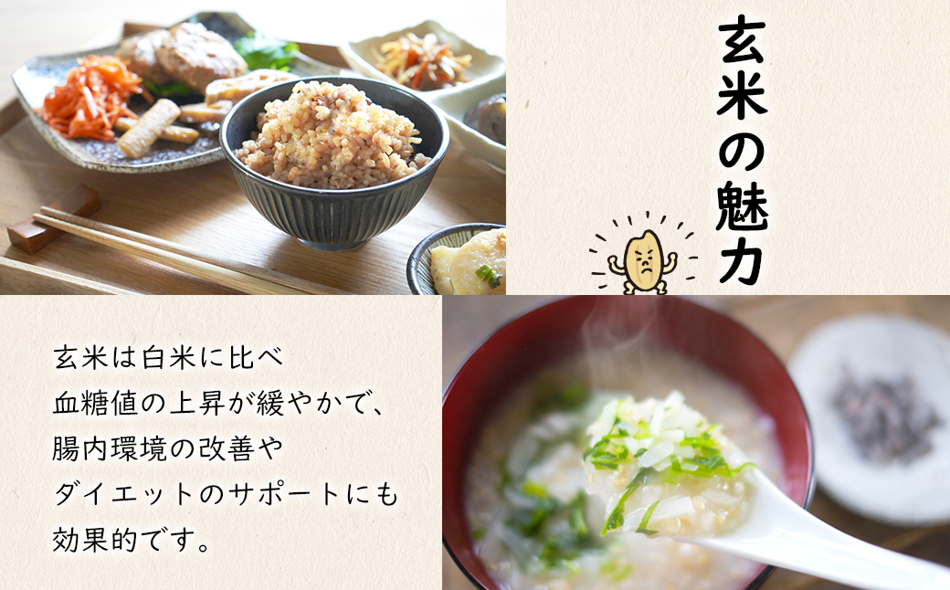 【令和7年産】米 玄米 コシヒカリ 5kg(5kg×1袋) 国産 ご飯 茨城県 境町産 人気 S278