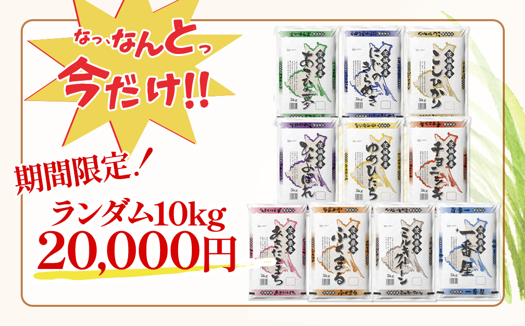 【令和7年産/白米】＜令和8年1月内発送＞ 2種食べ比べ 10kg(5kg×2袋) 茨城県産 米 小分け 2025年産 精米 K2457