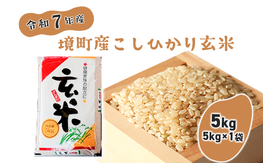 【令和7年産】米 玄米 コシヒカリ 5kg(5kg×1袋) 国産 ご飯 茨城県 境町産 人気 S278