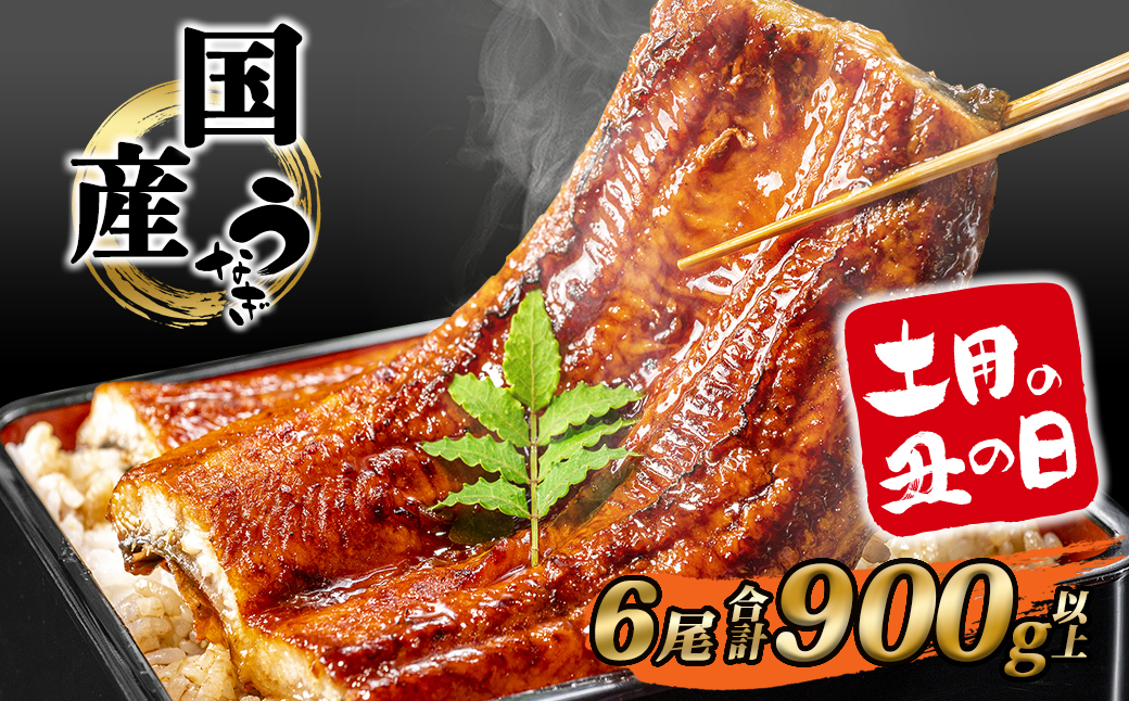 【丑の日までにお届け】 国産 うなぎ 蒲焼き 6尾 計900g以上 うなぎ蒲焼 鰻 鰻蒲焼 うなぎ蒲焼き ウナギ 国産うなぎ 簡易包装 タレ 山椒 土用の丑の日 K2392