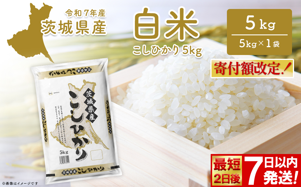 ◎最短2日後発送◎ コシヒカリ 5kg 米 小分け 茨城県産 2025年産 コシヒカリ 【令和7年産/白米】K2670