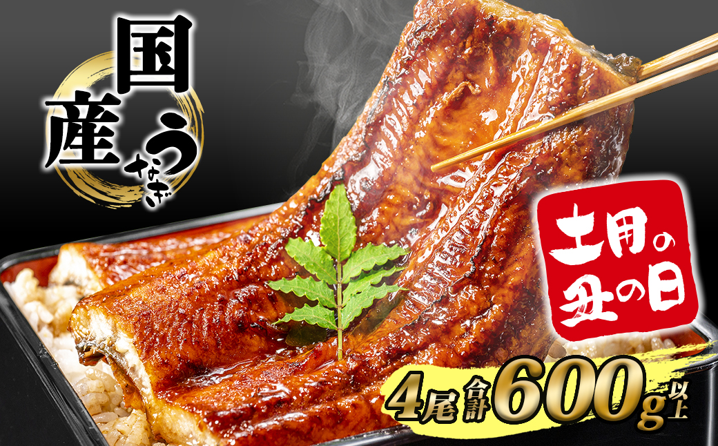 【丑の日までにお届け】 国産 うなぎ 蒲焼き 4尾 計600g以上 鰻 ウナギ うなぎ蒲焼 蒲焼 鰻蒲焼 簡易包装 土用の丑の日 タレ 山椒 ギフト 人気 K2391