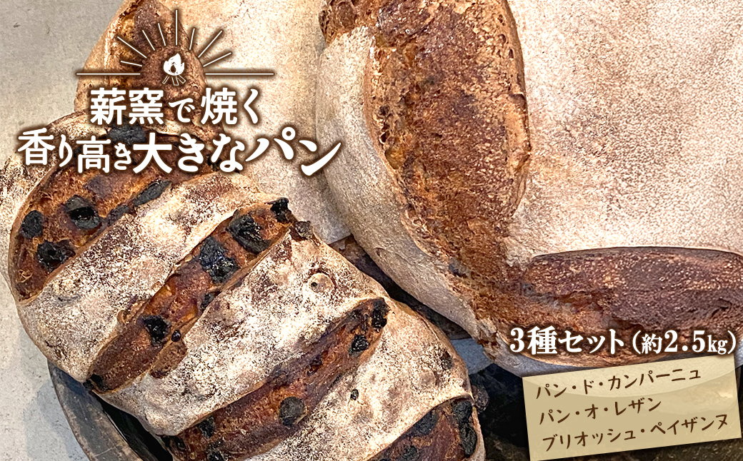 【薪窯焼き】香り高い大きなパン 3種セット (カンパーニュ・レザン・ブリオッシュ) ハード系パン レーズン パン セット K2686