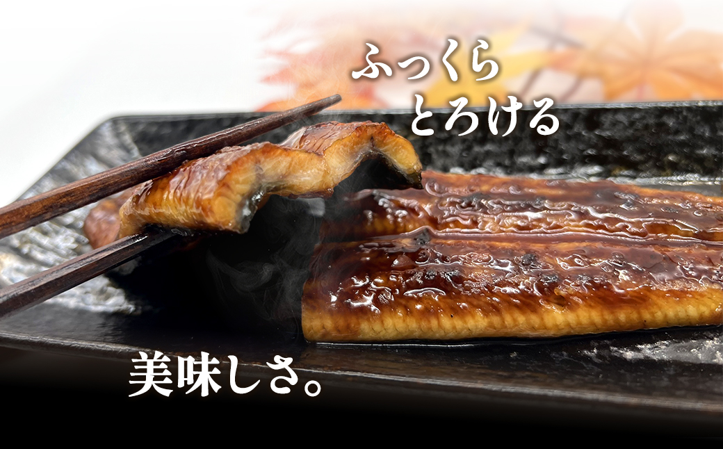 縲仙嵜逕」縺縺ェ縺弱 蜊願コォ繧ォ繝繝 6繝代ャ繧ッ(3蟆セ蛻/蜷郁ィ400g莉・荳) 繧ソ繝ャ 螻ア讀剃サ 莠コ豌 魏サ讌ス 譁ー逋サ蝣エ 謇玖サス 萓ソ蛻ゥ K2669