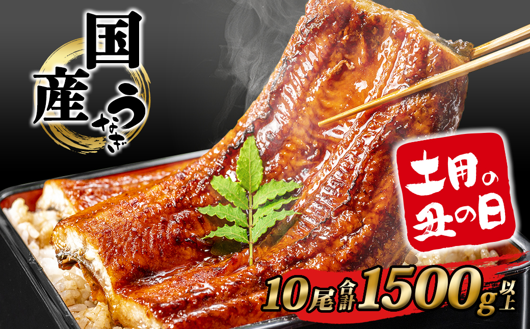 【土用の丑の日までにお届け】うなぎ 蒲焼 10尾 1,500g以上 国産 鰻 人気 うなぎ蒲焼き うな重 簡易袋 魚 魚介 ギフト K2394