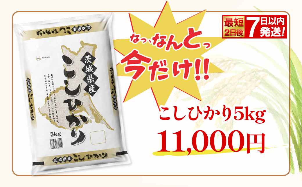 期間限定!! 【最短2日後～7日以内発送】【令和7年産/白米】 こしひかり 5kg 茨城県産 米 小分け 2025年産 K2670