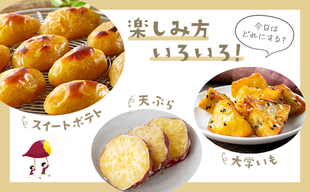 ãæ°ééå®ãå¢çºç£ ãã€ãŸãã çæçŽ
ã¯ãã å°ãããµã€ãº (SSïœS) çŽ3kg åä»ã äžæã ãã£ãšã çã åœç£ çæãã€ãŸãã ã¹ã«ã¯ãã è çè çŒãè ãµããã€ã¢ ç¡éžå¥ èšåç K2691