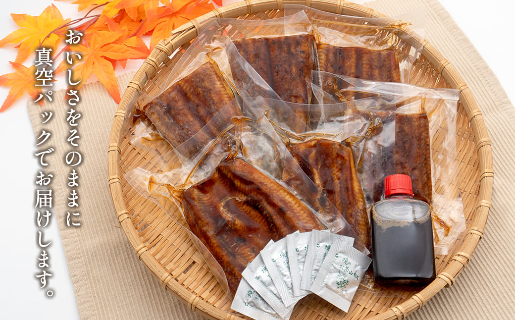 åœç£ ãç¹äžã ããªã è²çŒ ã«ããæžã¿ 400gä»¥äž (200gÃ2å°Ÿ) èš6ãã㯠å°åã é°» åçšã®äžã®æ¥ äžã®æ¥ 埡äžå
çŸå®¹ å¥åº· æ¯ã®æ¥ ç¶ã®æ¥ æºåç°¡å ã¹ã¿ãã ãŸãªæ¿äžèŠ ã®ããK2699