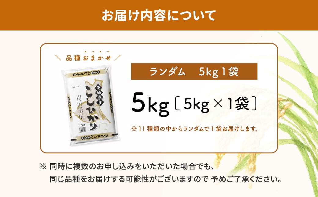 【令和6年産】※ランダム※ ＜2025年01月内発送＞  お米 5kg  茨城県産 白米