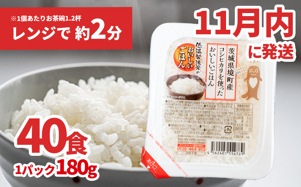 【11月内発送】境町産こしひかり使用 低温製法米パックライス 180g×40個