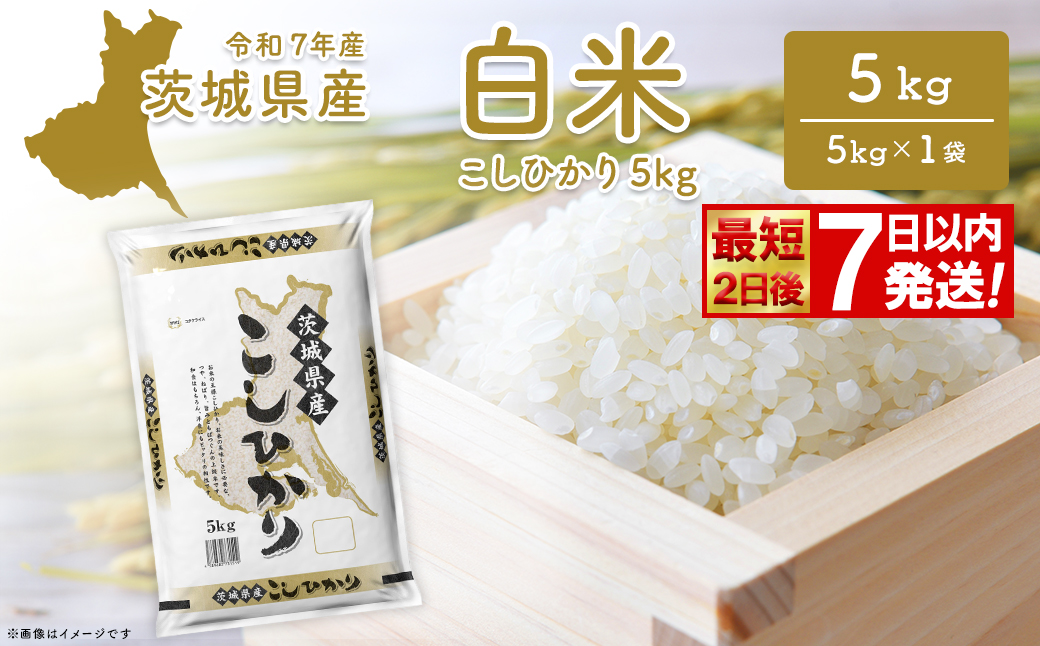 期間限定!! 【最短2日後～7日以内発送】【令和7年産/白米】 こしひかり 5kg 茨城県産 米 小分け 2025年産 K2670