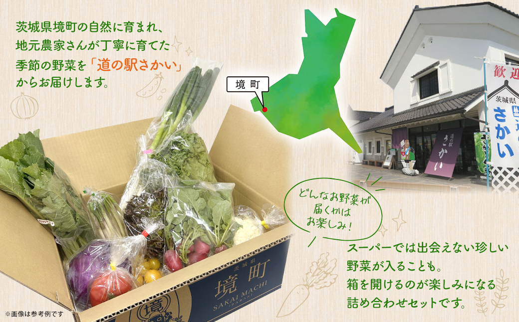 【ふるさと納税限定】道の駅さかい駅長おすすめ野菜セット