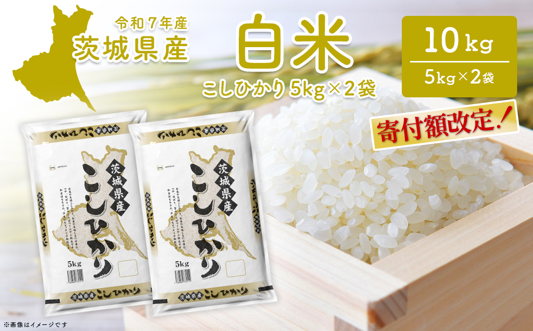 こしひかり 10kg (5kg×2袋)〈令和8年3月内発送〉【令和7年産/白米】茨城県産 米 小分け 2025年産 コシヒカリ K2654